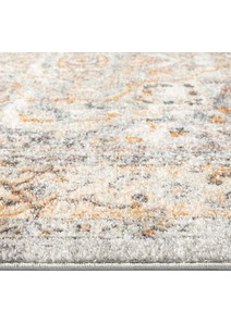 Lexi Transitional Medallion Rug