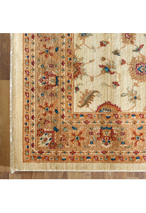 Parker Traditional Oriental Rug