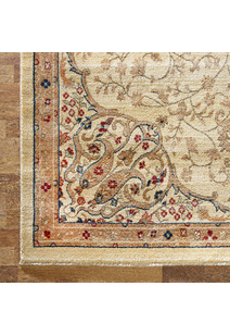 Parker Traditional Medallion Rug