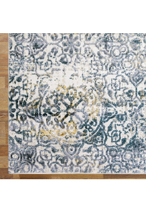 Saul Transitional Medallion Rug