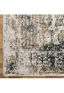 Saul Transitional Medallion Rug