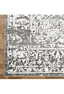 Saul Transitional Medallion Rug