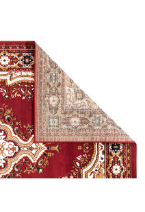 Toni Traditional Medallion Rug