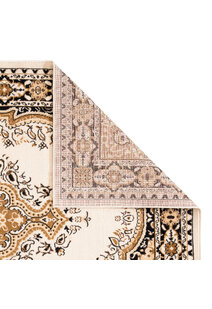 Toni Traditional Medallion Rug