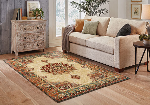 Caleb Transitional Medallion Rug