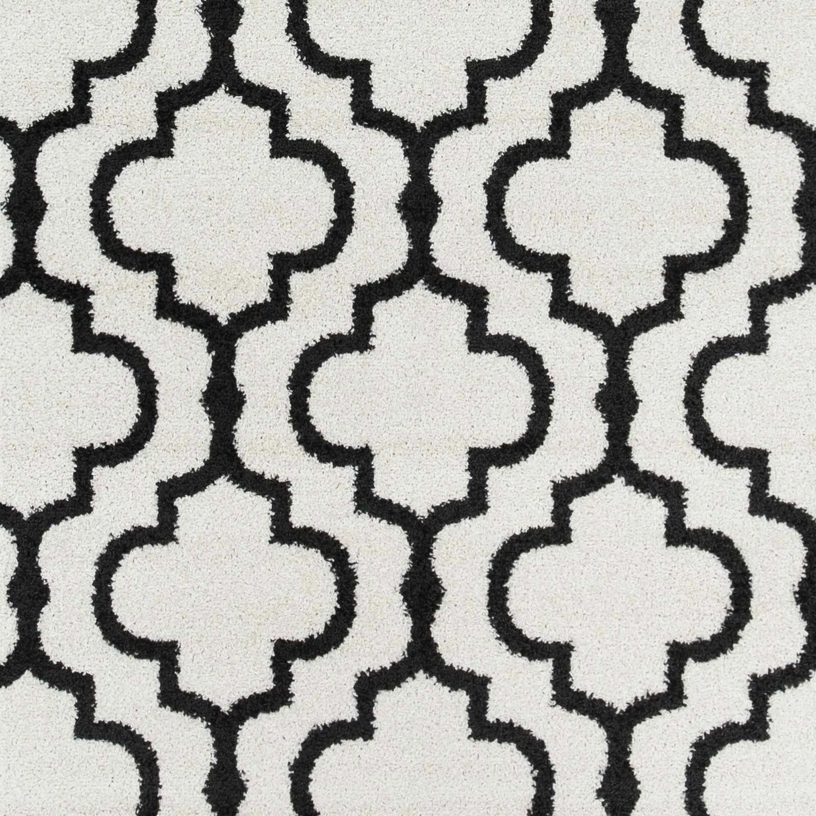 Large View