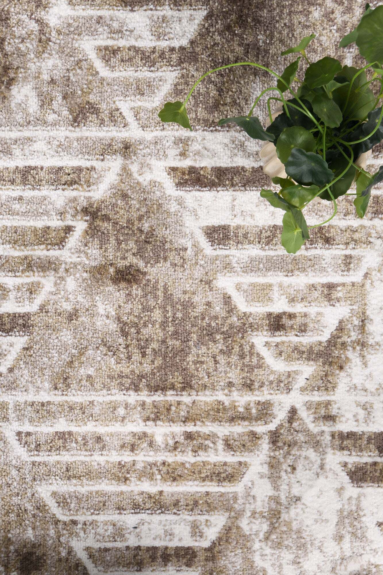 Kelly Transitional Geometric Rug