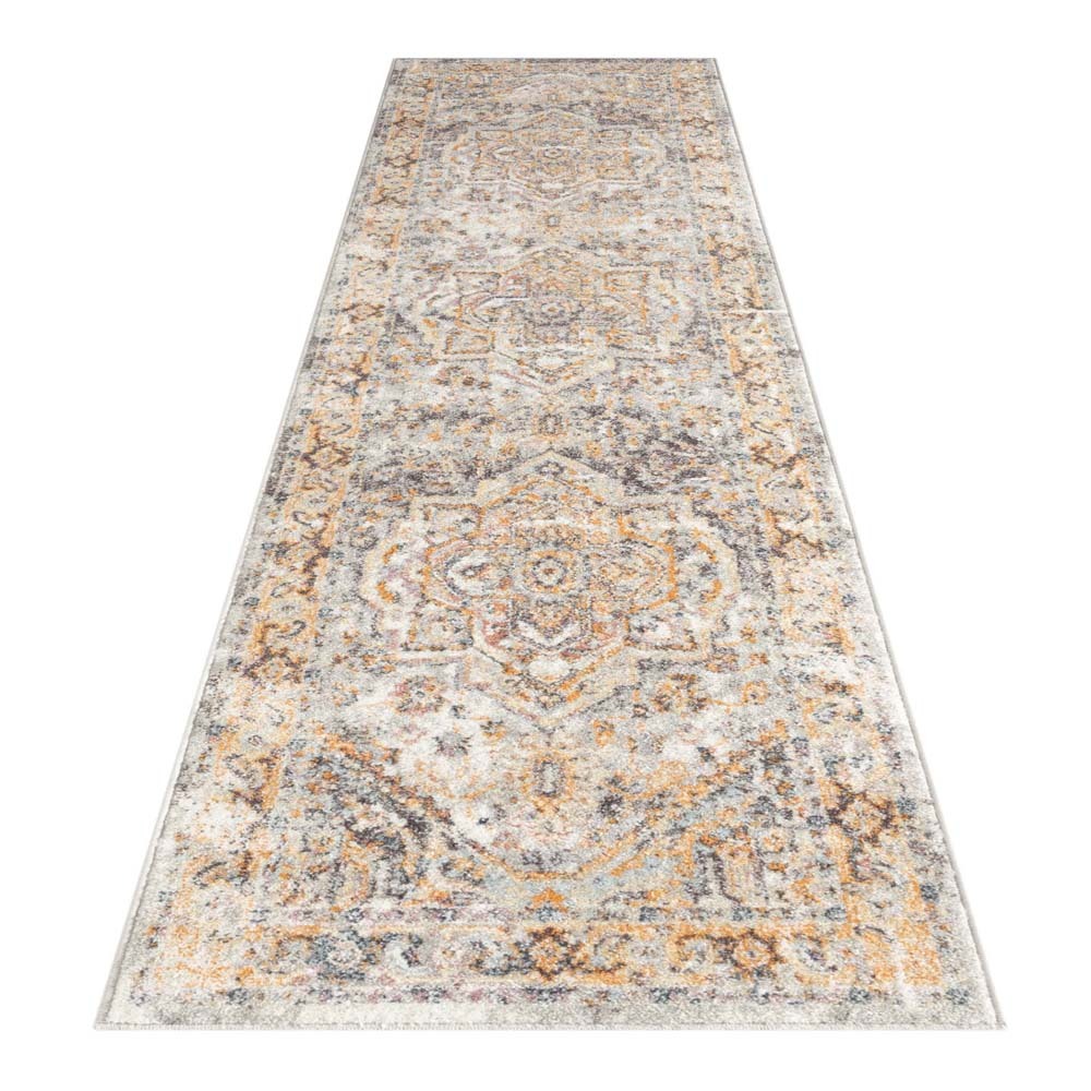 Lexi Transitional Medallion Rug