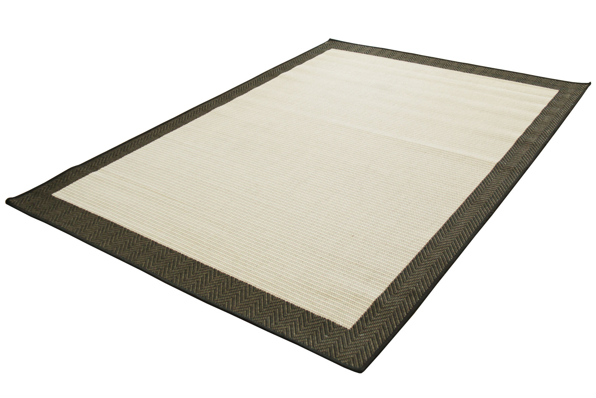 Large View Storm Border Pattern Rug