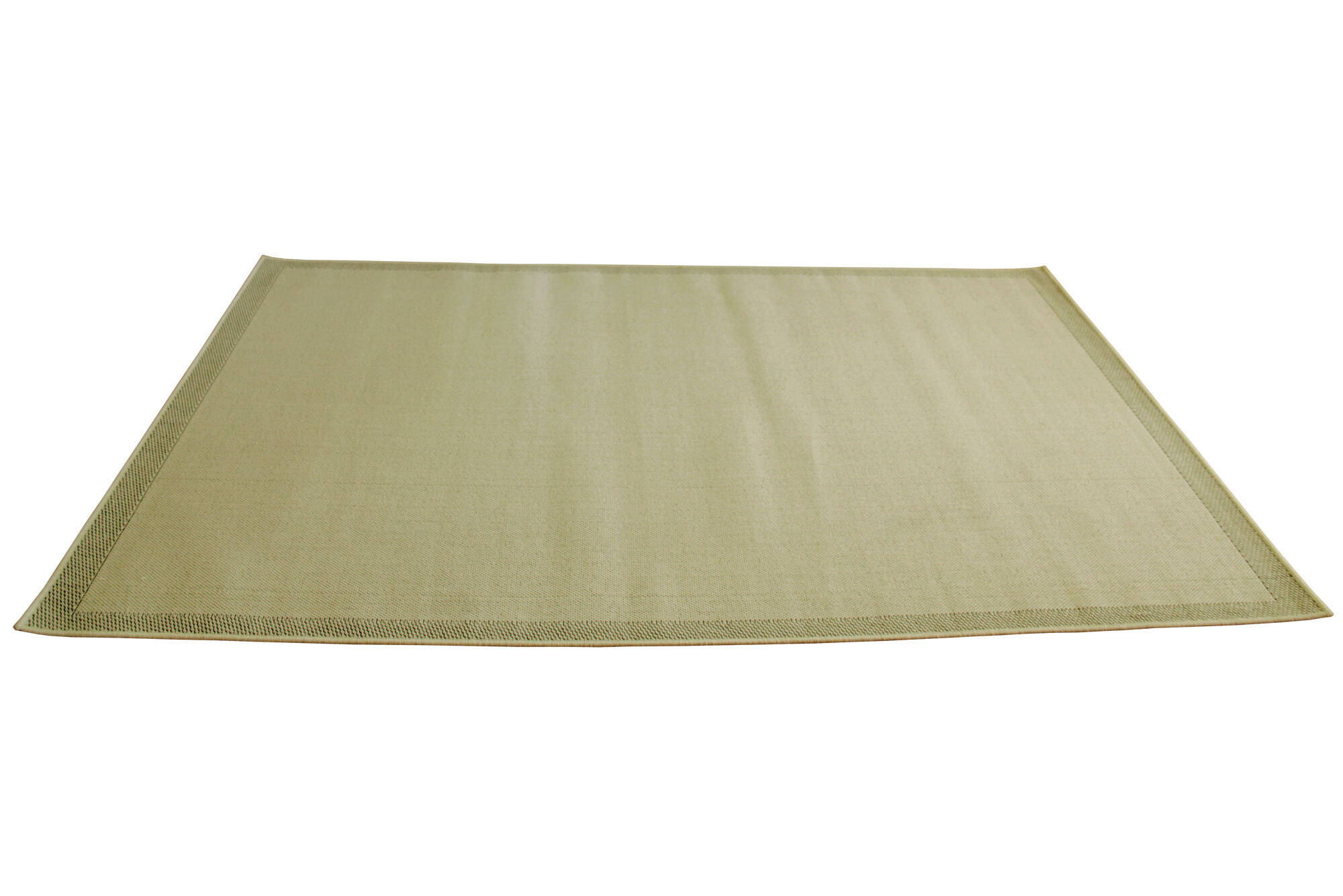Large View Storm Plain Flatweave Border Rug
