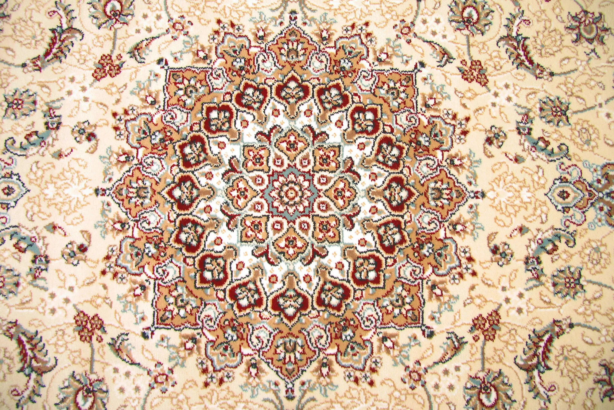 Large View
