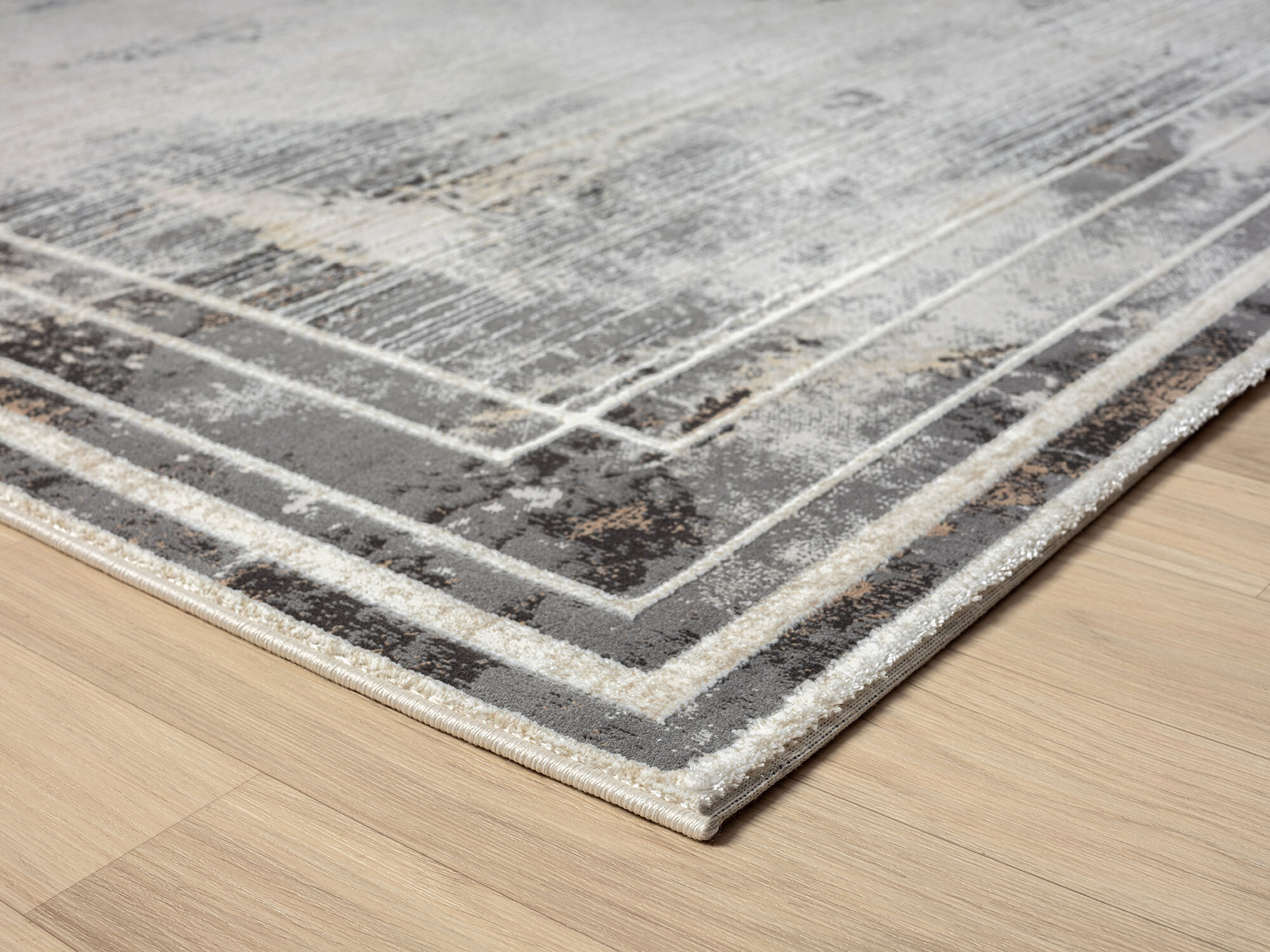 Large View Vision Contemporary Border Rug