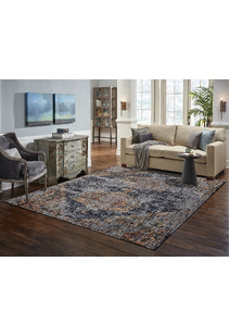 Ares Transitional Medallion Rug