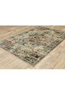 Caleb Transitional Medallion Rug