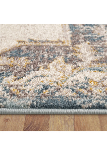 Cleo Traditional Medallion Rug