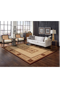 Cain Transitional Medallion Rug