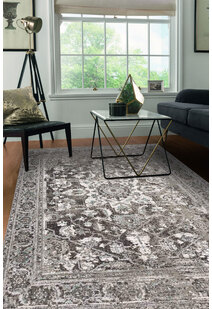 Erin Transitional Medallion Rug