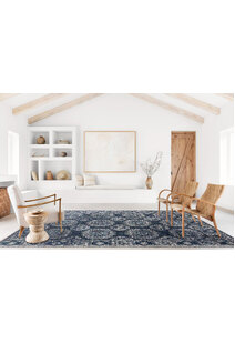 Erin Transitional Medallion Rug