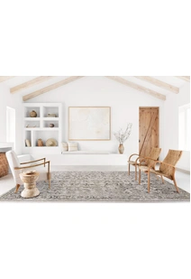 Erin Brown Classic Transitional Rug