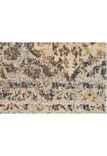 Lester Traditional Overdyed Rug