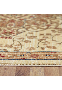 Parker Traditional Medallion Rug