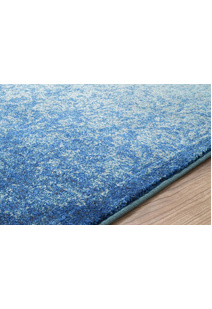 Roma Blue Transitional Floral Rug