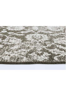 Ryan Floral Transitional Rug