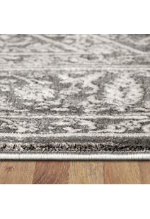 Saul Transitional Medallion Rug