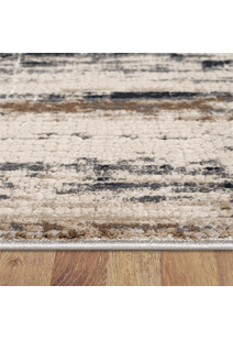 Sera Sculpted Contemporary Rug