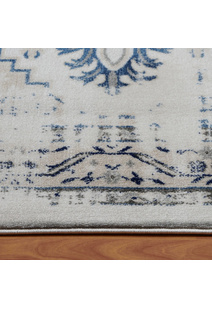 Sonia Transitional Medallion Rug