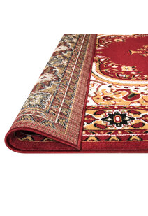 Toni Traditional Medallion Rug
