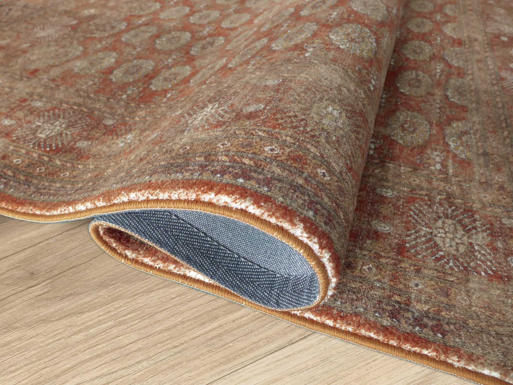 Large View Cato Traditional Geometric Rug