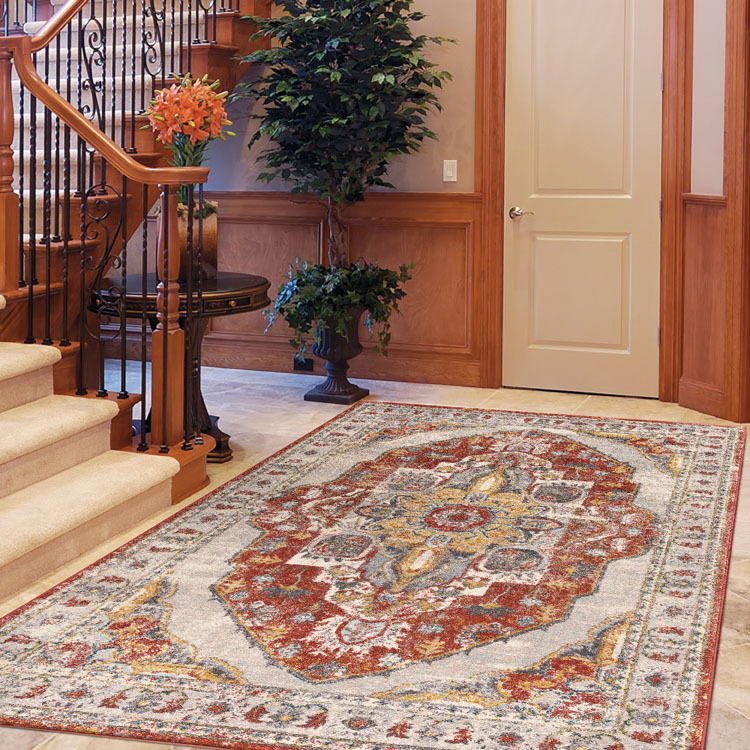 Large View Cleo Traditional Medallion Rug