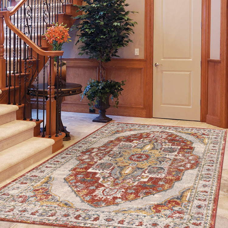 Cleo Traditional Medallion Rug