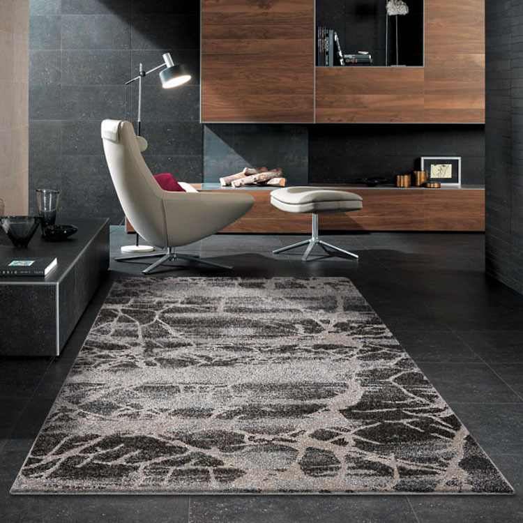 Large View Oakley Modern Abstract Rug