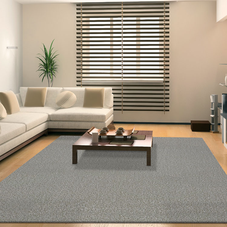 Sara Modern Plain Grey Rug