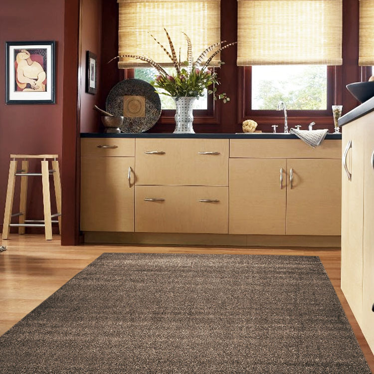 Sara Modern Plain Brown Rug