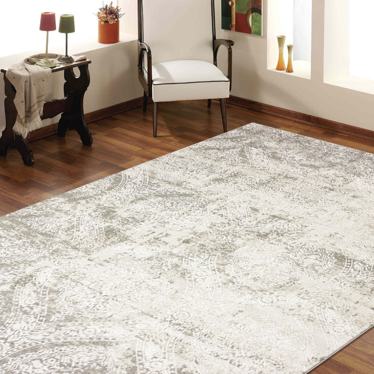 Large View Saul Contemporary Medallion Rug