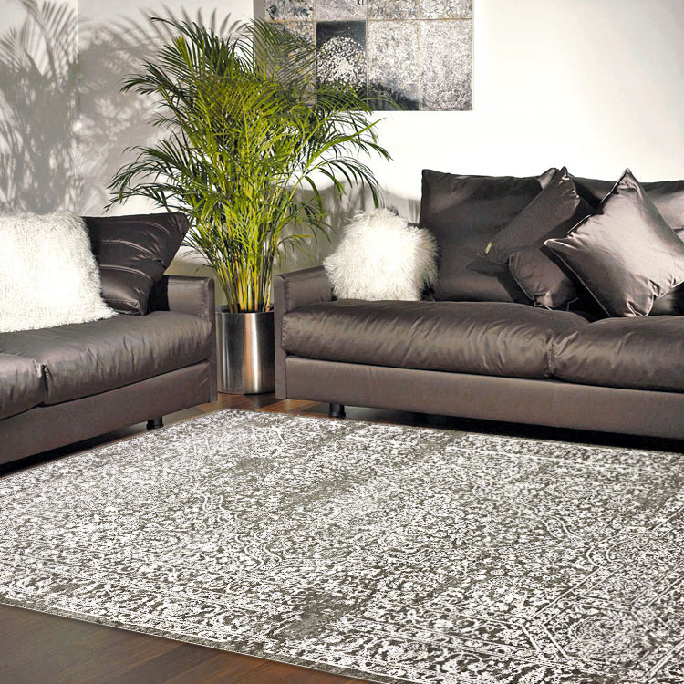 Saul Transitional Medallion Rug