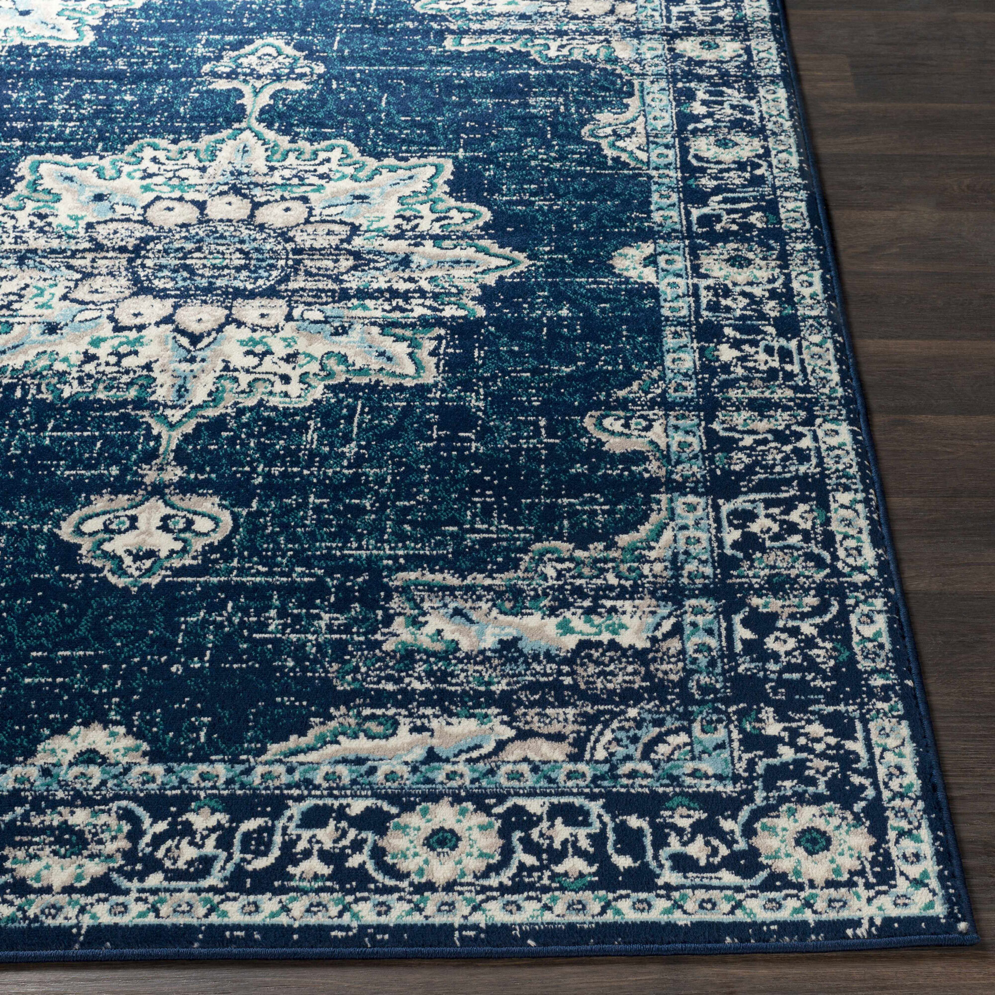 Large View Space Traditional Medallion Rug
