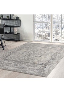 Cade Transitional Medallion Rug