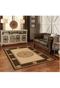 Cain Transitional Medallion Rug