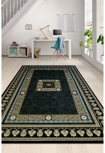 Cain Transitional Medallion Rug