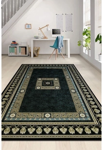 Cain Transitional Medallion Rug