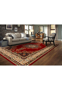 Coen Traditional Medallion Rug