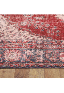 Diva Red Classic Overdyed Rug
