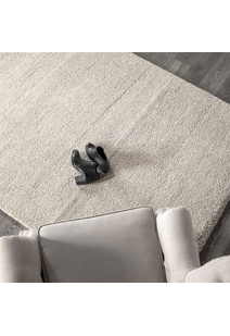 Posh Modern Beige Plain Rug