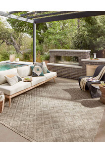 Patina Indoor/Outdoor Rug