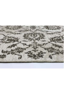 Ryan Floral Transitional Rug