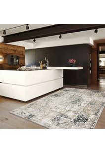 Saul Transitional Medallion Rug